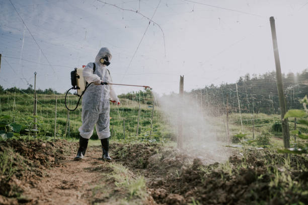 Best Pest Prevention Services  in Pierz, MN
