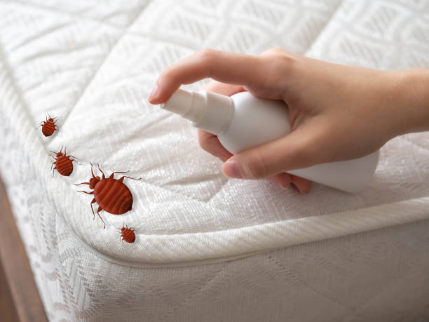 Best Pest Control Treatment  in Pierz, MN