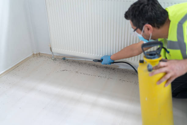 Professional Pest Control in Pierz, MN
