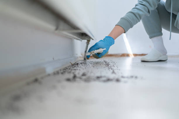 Best Mosquito Control Services  in Pierz, MN